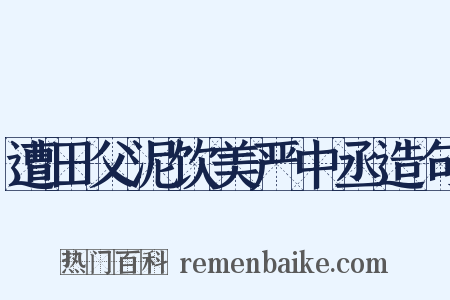 遭田父泥饮美严中丞造句是什么意思的图片